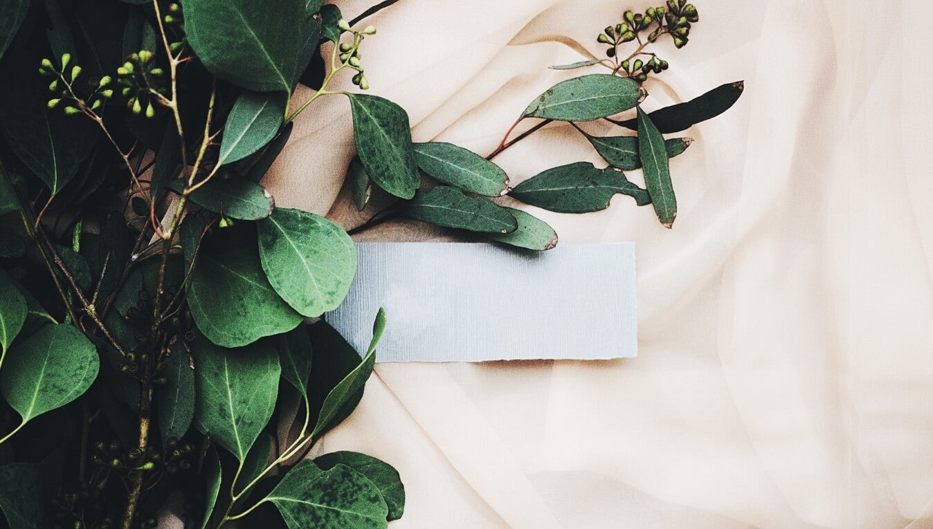 Tiny Details for Your Big Day: How to Partner With Sustainable Vendors