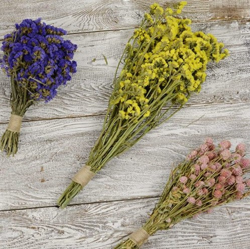 Gyp, Baby’s Breath, Caspia